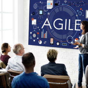 AGILE LEADERSHIP TRAINING